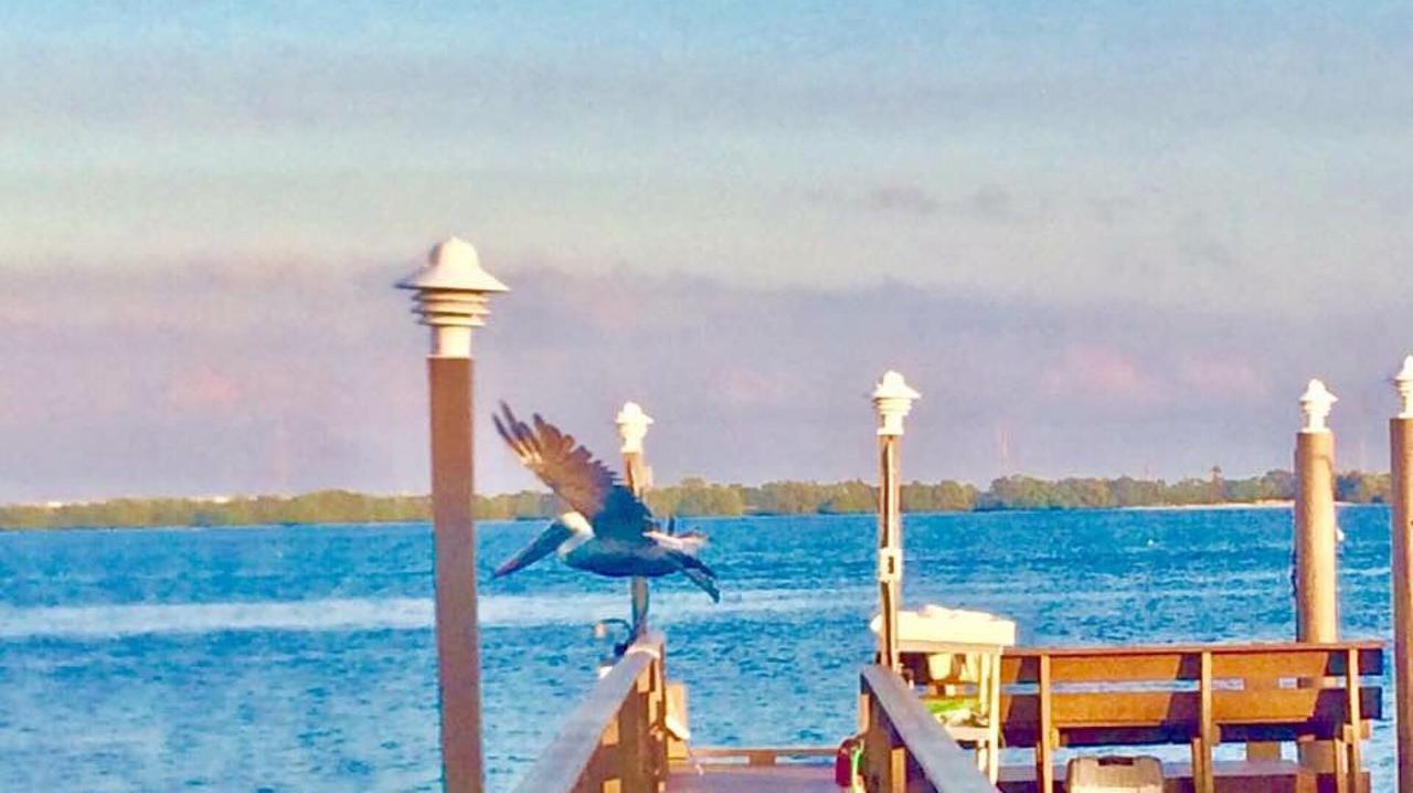 Pag Beachhouse Rentals St. Pete Beach Zewnętrze zdjęcie